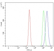 Flow cytometry testing of fixed and permeabilized human RT4 cells with CEP164 antibody at 1ug/million cells (blocked with goat sera); Red=cells alone, Green=isotype control, Blue= CEP164 antibody.