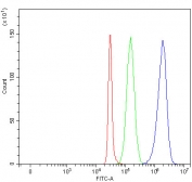 Flow cytometry testing of fixed and permeabilized human SH-SY5Y cells with RBFOX2 antibody at 1ug/million cells (blocked with goat sera); Red=cells alone, Green=isotype control, Blue= RBFOX2 antibody.