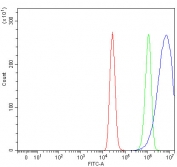 Flow cytometry testing of fixed and permeabilized human MCF7 cells with Ninein antibody at 1ug/million cells (blocked with goat sera); Red=cells alone, Green=isotype control, Blue= Ninein antibody.