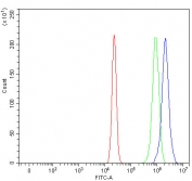 Flow cytometry testing of fixed and permeabilized human U937 cells with SIX4 antibody at 1ug/million cells (blocked with goat sera); Red=cells alone, Green=isotype control, Blue= SIX4 antibody.