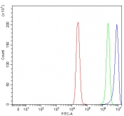 Flow cytometry testing of fixed and permeabilized human MCF7 cells with NECAB2 antibody at 1ug/million cells (blocked with goat sera); Red=cells alone, Green=isotype control, Blue= NECAB2 antibody.