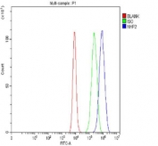 Flow cytometry testing of fixed and permeabilized human Caco-2 cells with NHP2 antibody at 1ug/million cells (blocked with goat sera); Red=cells alone, Green=isotype control, Blue= NHP2 antibody.