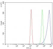 Flow cytometry testing of fixed and permeabilized human HEL cells with SEPN1 antibody at 1ug/million cells (blocked with goat sera); Red=cells alone, Green=isotype control, Blue= SEPN1 antibody.