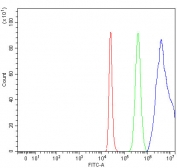 Flow cytometry testing of fixed and permeabilized human 293T cells with PYROXD1 antibody at 1ug/million cells (blocked with goat sera); Red=cells alone, Green=isotype control, Blue= PYROXD1 antibody.