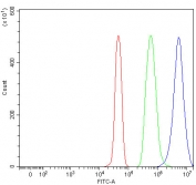 Flow cytometry testing of fixed and permeabilized human JK cells with TXNDC17 antibody at 1ug/million cells (blocked with goat sera); Red=cells alone, Green=isotype control, Blue= TXNDC17 antibody.