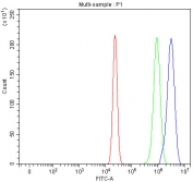 Flow cytometry testing of fixed and permeabilized human U-2 OS cells with GLI2 antibody at 1ug/million cells (blocked with goat sera); Red=cells alone, Green=isotype control, Blue= GLI2 antibody.