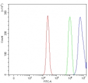 Flow cytometry testing of fixed and permeabilized human RT4 cells with NUMA1 antibody at 1ug/million cells (blocked with goat sera); Red=cells alone, Green=isotype control, Blue= NUMA1 antibody.