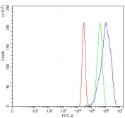 Flow cytometry testing of fixed and permeabilized human MCF7 cells with MNAT1 antibody at 1ug/million cells (blocked with goat sera); Red=cells alone, Green=isotype control, Blue= MNAT1 antibody.