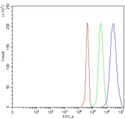 Flow cytometry testing of fixed and permeabilized human JK cells with MIS12 antibody at 1ug/million cells (blocked with goat sera); Red=cells alone, Green=isotype control, Blue= MIS12 antibody.