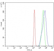 Flow cytometry testing of fixed and permeabilized human U-2 OS cells with Maltase-glucoamylase antibody at 1ug/million cells (blocked with goat sera); Red=cells alone, Green=isotype control, Blue= Maltase-glucoamylase antibody.