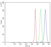Flow cytometry testing of fixed and permeabilized human JK cells with MOCS2 antibody at 1ug/million cells (blocked with goat sera); Red=cells alone, Green=isotype control, Blue= MOCS2 antibody.