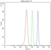 Flow cytometry testing of fixed and permeabilized human Caco-2 cells with NUDT5 antibody at 1ug/million cells (blocked with goat sera); Red=cells alone, Green=isotype control, Blue= NUDT5 antibody.