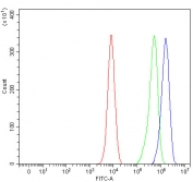 Flow cytometry testing of fixed and permeabilized human K562 cells with NUBP1 antibody at 1ug/million cells (blocked with goat sera); Red=cells alone, Green=isotype control, Blue= NUBP1 antibody.