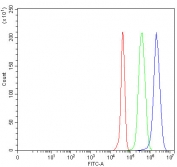 Flow cytometry testing of fixed and permeabilized human JK cells with MYDGF antibody at 1ug/million cells (blocked with goat sera); Red=cells alone, Green=isotype control, Blue= MYDGF antibody.