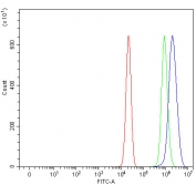 Flow cytometry testing of fixed and permeabilized human A431 cells with MFAP1 antibody at 1ug/million cells (blocked with goat sera); Red=cells alone, Green=isotype control, Blue= MFAP1 antibody.