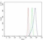Flow cytometry testing of fixed and permeabilized human SiHa cells with MLEC antibody at 1ug/million cells (blocked with goat sera); Red=cells alone, Green=isotype control, Blue= MLEC antibody.