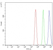 Flow cytometry testing of fixed and permeabilized human U-251 cells with L3MBTL3 antibody at 1ug/million cells (blocked with goat sera); Red=cells alone, Green=isotype control, Blue= L3MBTL3 antibody.