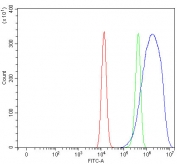 Flow cytometry testing of fixed and permeabilized human HEL cells with MPHOSPH9 antibody at 1ug/million cells (blocked with goat sera); Red=cells alone, Green=isotype control, Blue= MPHOSPH9 antibody.