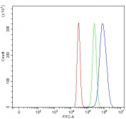 Flow cytometry testing of fixed and permeabilized human HepG2 cells with MPHOSPH10 antibody at 1ug/million cells (blocked with goat sera); Red=cells alone, Green=isotype control, Blue= MPHOSPH10 antibody.