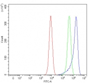 Flow cytometry testing of fixed and permeabilized human K562 cells with RSPH3 antibody at 1ug/million cells (blocked with goat sera); Red=cells alone, Green=isotype control, Blue= RSPH3 antibody.