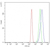 Flow cytometry testing of fixed and permeabilized human MCF7 cells with NUP37 antibody at 1ug/million cells (blocked with goat sera); Red=cells alone, Green=isotype control, Blue= NUP37 antibody.