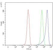 Flow cytometry testing of fixed and permeabilized human K562 cells with MICAL-like protein 2 antibody at 1ug/million cells (blocked with goat sera); Red=cells alone, Green=isotype control, Blue= MICAL-like protein 2 antibody.