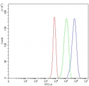 Flow cytometry testing of fixed and permeabilized human HepG2 cells with NPTXR antibody at 1ug/million cells (blocked with goat sera); Red=cells alone, Green=isotype control, Blue= NPTXR antibody.