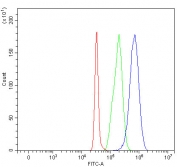 Flow cytometry testing of fixed and permeabilized human SH-SY5Y cells with MAP6D1 antibody at 1ug/million cells (blocked with goat sera); Red=cells alone, Green=isotype control, Blue= MAP6D1 antibody.