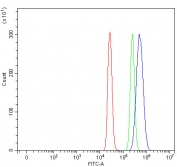 Flow cytometry testing of fixed and permeabilized human HepG2 cells with MAGED4 antibody at 1ug/million cells (blocked with goat sera); Red=cells alone, Green=isotype control, Blue= MAGED4 antibody.