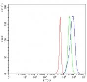 Flow cytometry testing of fixed and permeabilized human JK cells with MSLNL antibody at 1ug/million cells (blocked with goat sera); Red=cells alone, Green=isotype control, Blue= MSLNL antibody.