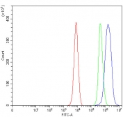 Flow cytometry testing of fixed and permeabilized human K562 cells with LRIG2 antibody at 1ug/million cells (blocked with goat sera); Red=cells alone, Green=isotype control, Blue= LRIG2 antibody.