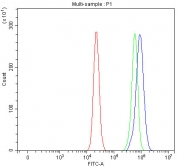Flow cytometry testing of fixed and permeabilized human RT4 cells with LYPD3 antibody at 1ug/million cells (blocked with goat sera); Red=cells alone, Green=isotype control, Blue= LYPD3 antibody.