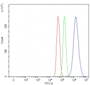 Flow cytometry testing of fixed and permeabilized human U-251 cells with LDOC1 antibody at 1ug/million cells (blocked with goat sera); Red=cells alone, Green=isotype control, Blue= LDOC1 antibody.