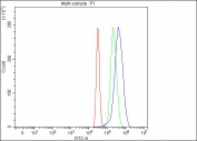 Flow cytometry testing of fixed and permeabilized human HepG2 cells with Alpha 1B-Glycoprotein antibody at 1ug/million cells (blocked with goat sera); Red=cells alone, Green=isotype control, Blue= Alpha 1B-Glycoprotein antibody.