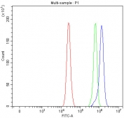 Flow cytometry testing of fixed and permeabilized human RT4 cells with Leukotriene A-4 hydrolase antibody at 1ug/million cells (blocked with goat sera); Red=cells alone, Green=isotype control, Blue= Leukotriene A-4 hydrolase antibody.