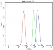 Flow cytometry testing of fixed and permeabilized human SH-SY5Y cells with MPST antibody at 1ug/million cells (blocked with goat sera); Red=cells alone, Green=isotype control, Blue= MPST antibody.
