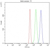 Flow cytometry testing of fixed and permeabilized human HepG2 cells with IARS1 antibody at 1ug/million cells (blocked with goat sera); Red=cells alone, Green=isotype control, Blue= IARS1 antibody.
