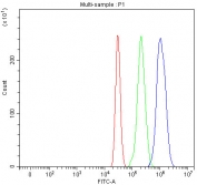 Flow cytometry testing of fixed and permeabilized human HepG2 cells with IDH3A antibody at 1ug/million cells (blocked with goat sera); Red=cells alone, Green=isotype control, Blue= IDH3A antibody.