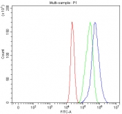 Flow cytometry testing of fixed and permeabilized human MCF7 cells with Diphosphomevalonate decarboxylase antibody at 1ug/million cells (blocked with goat sera); Red=cells alone, Green=isotype control, Blue= Diphosphomevalonate decarboxylase antibody.