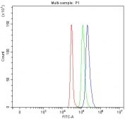 Flow cytometry testing of fixed and permeabilized human SH-SY5Y cells with IFFO1 antibody at 1ug/million cells (blocked with goat sera); Red=cells alone, Green=isotype control, Blue= IFFO1 antibody.