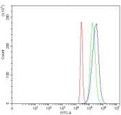 Flow cytometry testing of fixed and permeabilized human 293T cells with Pyruvate dehydrogenase kinase 1 antibody at 1ug/million cells (blocked with goat sera); Red=cells alone, Green=isotype control, Blue= Pyruvate dehydrogenase kinase 1 antibody.