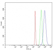Flow cytometry testing of fixed and permeabilized human 293T cells with NEUROD2 antibody at 1ug/million cells (blocked with goat sera); Red=cells alone, Green=isotype control, Blue= NEUROD2 antibody.