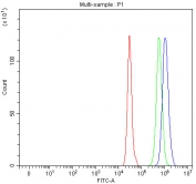 Flow cytometry testing of fixed and permeabilized human A549 cells with IAH1 antibody at 1ug/million cells (blocked with goat sera); Red=cells alone, Green=isotype control, Blue= IAH1 antibody.