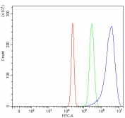 Flow cytometry testing of fixed and permeabilized human HepG2 cells with MOGAT2 antibody at 1ug/million cells (blocked with goat sera); Red=cells alone, Green=isotype control, Blue= MOGAT2 antibody.