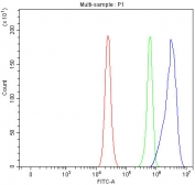 Flow cytometry testing of fixed and permeabilized human RT4 cells with MPPE1 antibody at 1ug/million cells (blocked with goat sera); Red=cells alone, Green=isotype control, Blue= MPPE1 antibody.