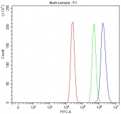 Flow cytometry testing of fixed and permeabilized human MCF7 cells with PARP10 antibody at 1ug/million cells (blocked with goat sera); Red=cells alone, Green=isotype control, Blue= PARP10 antibody.