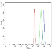 Flow cytometry testing of fixed and permeabilized human 293T cells with LRRC73 antibody at 1ug/million cells (blocked with goat sera); Red=cells alone, Green=isotype control, Blue= LRRC73 antibody.