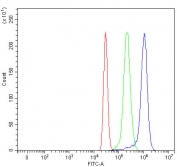 Flow cytometry testing of fixed and permeabilized human HepG2 cells with LCTL antibody at 1ug/million cells (blocked with goat sera); Red=cells alone, Green=isotype control, Blue= LCTL antibody.