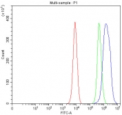 Flow cytometry testing of fixed and permeabilized human K562 cells with LDHD antibody at 1ug/million cells (blocked with goat sera); Red=cells alone, Green=isotype control, Blue= LDHD antibody.