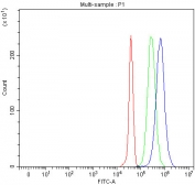 Flow cytometry testing of fixed and permeabilized human JK cells with LGI4 antibody at 1ug/million cells (blocked with goat sera); Red=cells alone, Green=isotype control, Blue= LGI4 antibody.